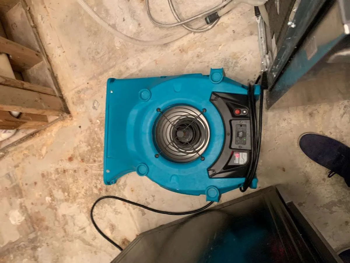 Air mover drying equipment for Mold Remediation & Removal in North Dansville