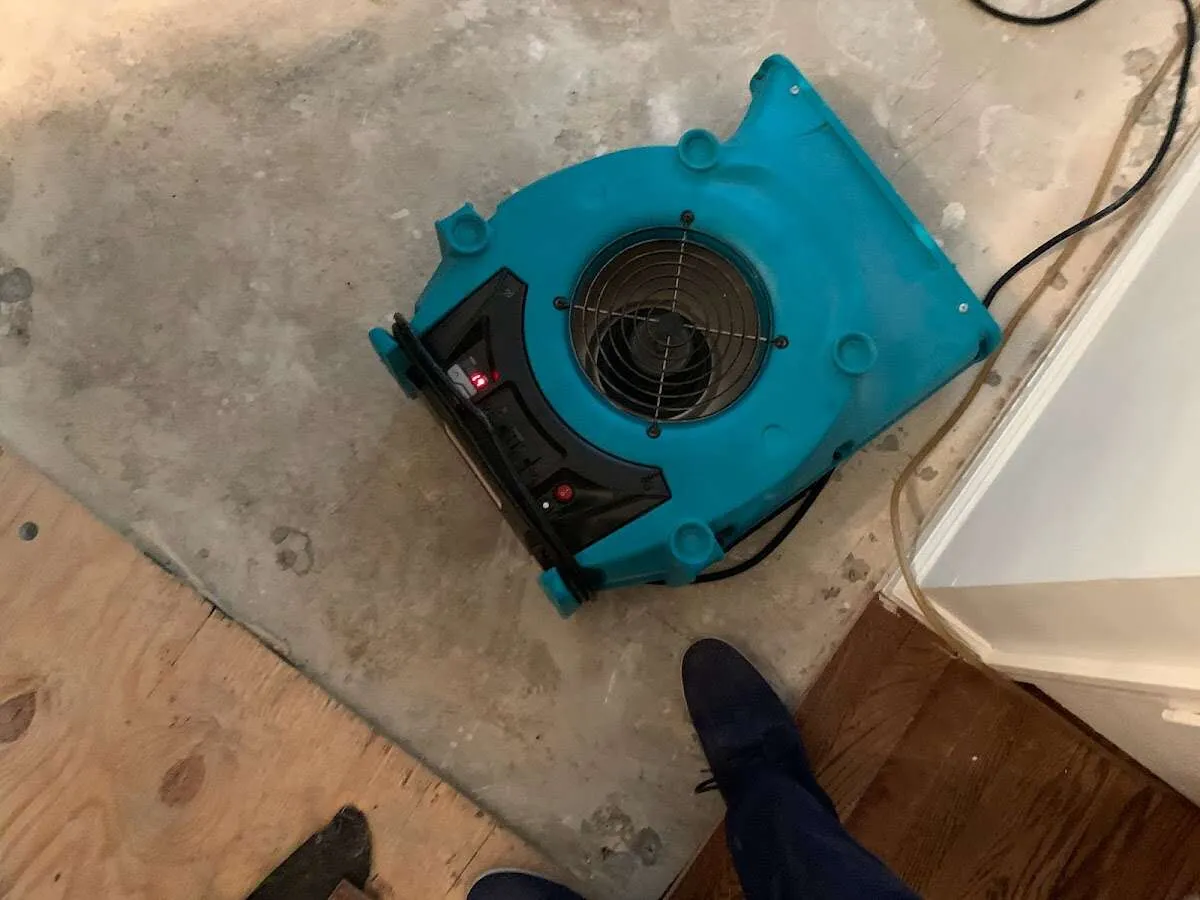 Air mover drying subfloor during Commercial Water Damage Restoration in North Dansville